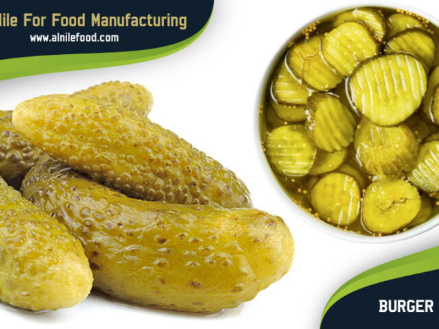 burger dill gherkins
