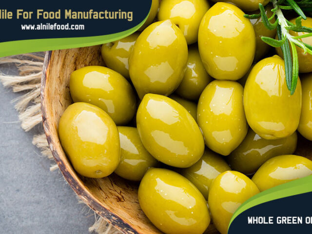 whole green olives spanish style