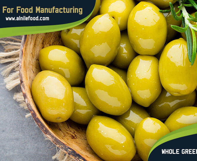 whole green olives spanish style