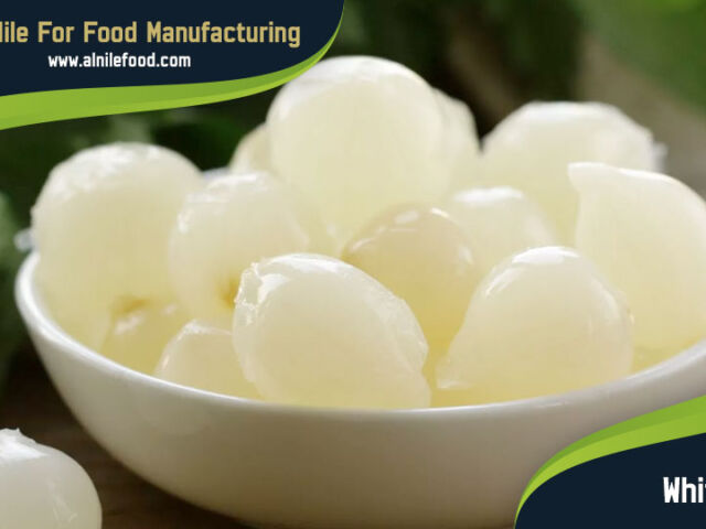white onion